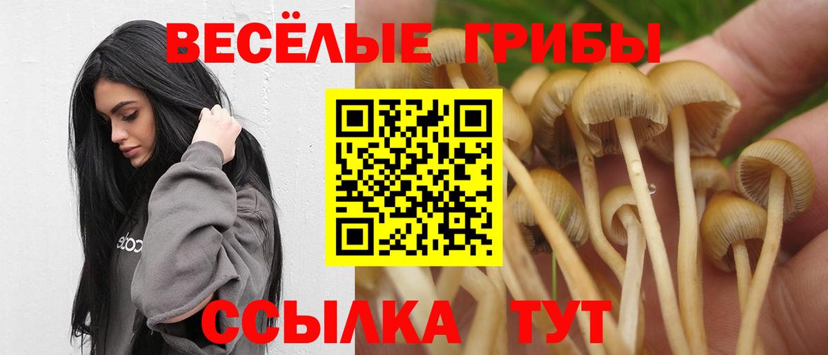 Псилоцибиновые грибы ЛСД  Вход с VPN  Миасс  Галлюциногенные грибы ЛСД 